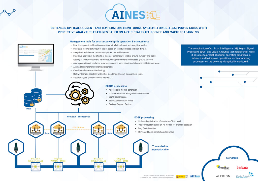 AINES Infography